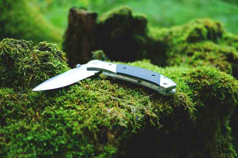 Sharpest Pocket Knives in 2021 - Ultra Sharp and Effective