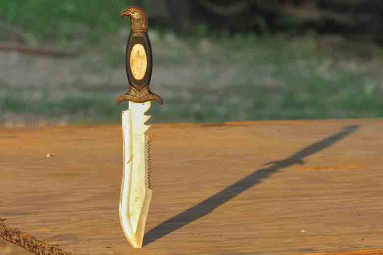 what does a bowie knife look like