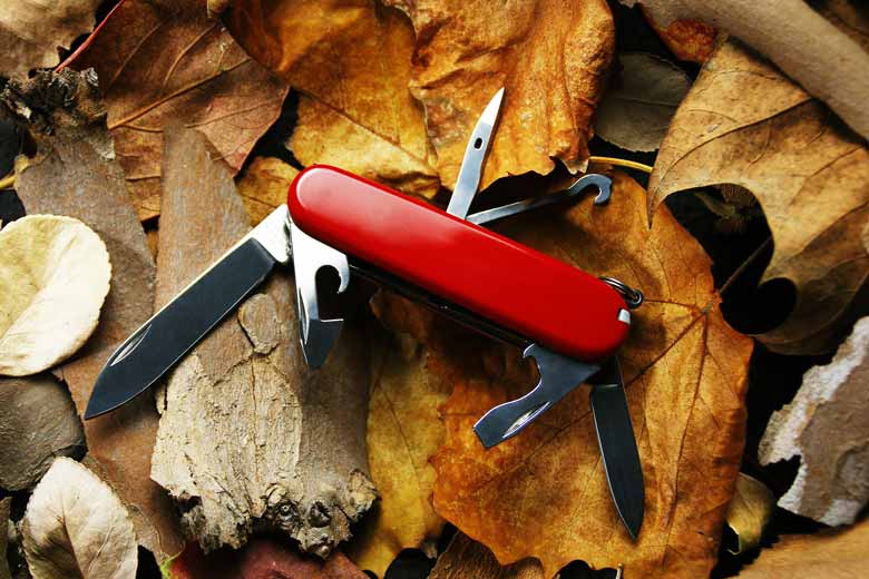 Best Swiss Army Knife for Bushcraft in 2021 - Avoid Mistakes!